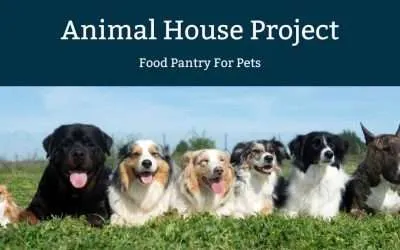 Animal House Project