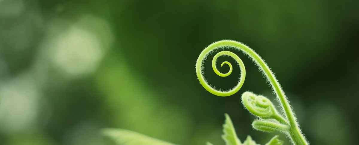 Spiral Therapeutics
