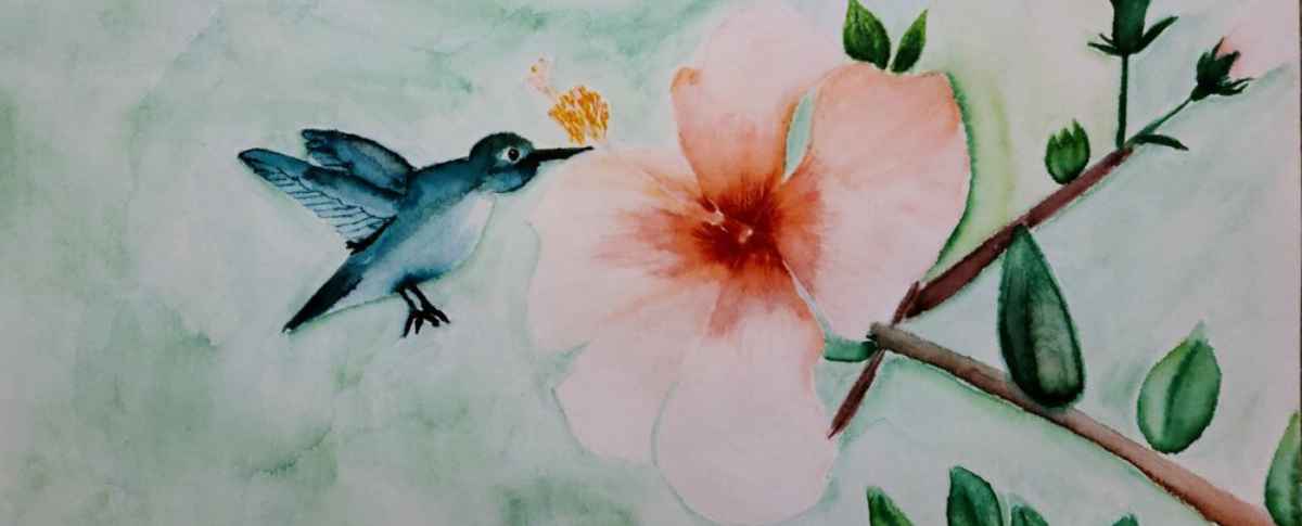 VineDesigns Art